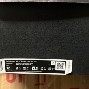 Air Jordan 3 Retro SE